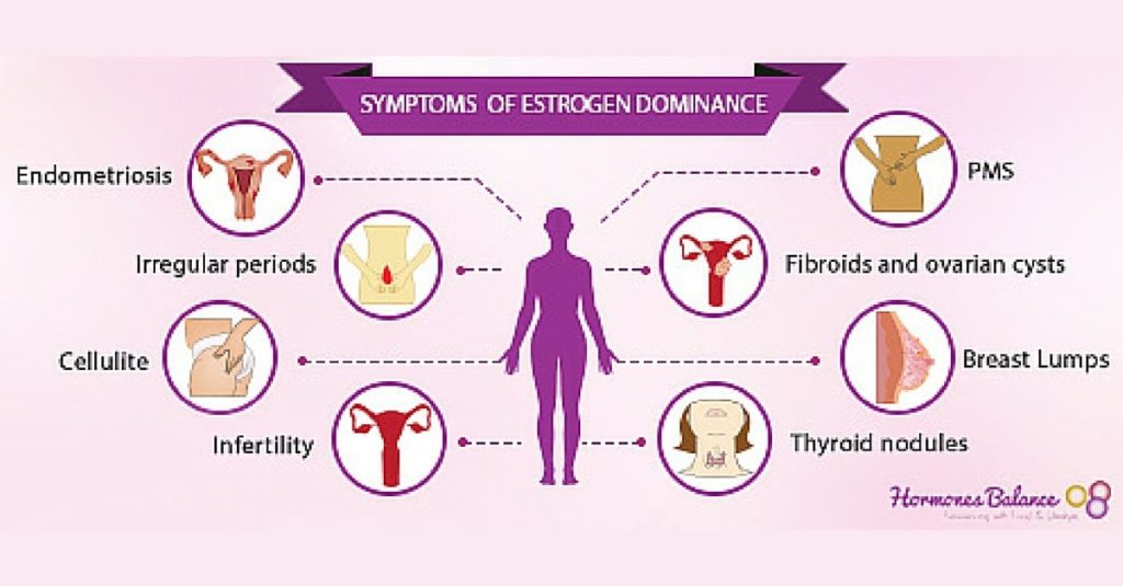 Estrogen Dominance Transitions Chiropractic Newcastle